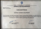 Klinik Psikolog  Göksu Gülpınar Klinik Psikolog sertifikası