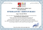 Psk. Emrah Oğuz Psikoloji sertifikası