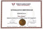 Psk. Gizem Pala Psikoloji sertifikası