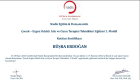 Klinik Psikolog  Büşra Erdoğan Psikoloji sertifikası