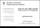 Psk. Meltem Nilay Gül Psikoloji sertifikası