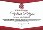 Fzt. Zafer Aksungur Fizyoterapi sertifikası