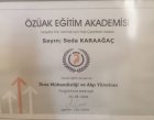 Psk. Seda Karaağaç Psikoloji sertifikası
