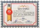Psk. Muhammed İhsan Demetgül Psikoloji sertifikası