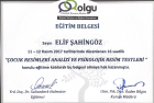 Aile Danışmanı Elif Kaya Şahingöz Çocuk Gelişim Uzmanı sertifikası