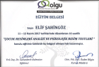 Aile Danışmanı Elif Kaya Şahingöz Çocuk Gelişim Uzmanı sertifikası