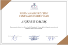 Psk. Ayşenur Dalgıç Psikoloji sertifikası