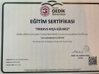 Psk. Ayça Eğilmez Psikoloji sertifikası