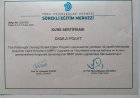 Psk. Damla Polat Psikoloji sertifikası