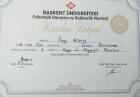 Psk. Dan. Özge Kayış Psikolojik Danışman sertifikası