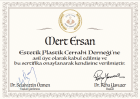 Op. Dr. Mert Ersan Plastik Rekonstrüktif ve Estetik Cerrahi sertifikası