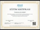 Psk. Nazlıcan Aydın Psikoloji sertifikası