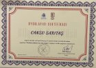 Psk. Cansu Sarıtaş Psikoloji sertifikası
