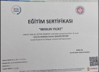Psk. Bersun Demir Psikoloji sertifikası