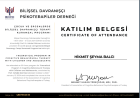 Psk. Şeyma Balcı Aile Danışmanı (Psikolog) sertifikası