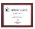 Uzm. Psk. Dan. Gülşah Baysal Klinik Psikolog sertifikası