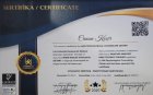 Psk. Dan. Cansın Koçer Psikolojik Danışman sertifikası