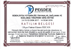 Uzm. Kl. Psk. Fatma Gizem Şahin Psikoloji sertifikası