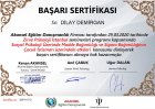 Psk. Dilay Demirgan Psikoloji sertifikası