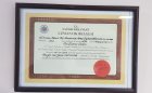 Op. Dr. Tamer Tekin Beyin ve Sinir Cerrahisi sertifikası