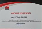 Dt. Ceylan Saygılı Diş Hekimi sertifikası