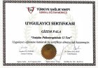 Psk. Gizem Pala Psikoloji sertifikası