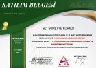 Dyt. Sümeyye Korkut Diyetisyen sertifikası