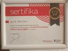 Dt. Sibel Özen Diş Hekimi sertifikası