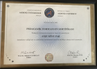 Psk. Dan. Mine Pak Aile Danışmanı (Psikolog) sertifikası