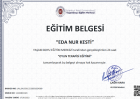 Psk. Dan. Eda Nur Kesti Psikolojik Danışman sertifikası