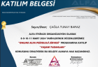 Psk. Çağla Tunay Baraz Psikoloji sertifikası