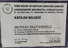 Op. Dr. Mehmet Akgün Tepeli Genel Cerrahi sertifikası