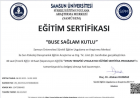 Psk. Buse Sağlam Kutlu Psikoloji sertifikası