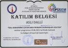 Aile Danışmanı Aslı Dallı Aile Danışmanı sertifikası
