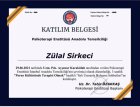 Klinik Psikolog  Zülal Sirkeci Klinik Psikolog sertifikası