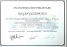 Prof. Dr. Engin Çetinkaya Ortopedi ve Travmatoloji sertifikası
