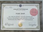 Uzm. Dr. Dt. Nazife İşler Pehlivan Diş Hekimi sertifikası
