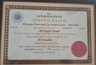 Prof. Dr. Ali Engin Ulusal Ortopedi ve Travmatoloji sertifikası