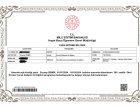 Psk. Zeynep Demir Psikoloji sertifikası
