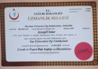 Uzm. Dr. Ayşegül Satar Çocuk ve Ergen Psikiyatristi sertifikası