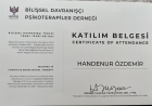 Psk. Dan. Handenur Özdemir Psikolojik Danışman sertifikası