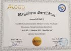 Psk. Asena Küsmüş Psikoloji sertifikası