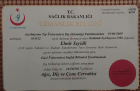 Uzm. Dr. Elmir Seyidli Diş Hekimi sertifikası