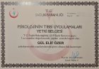 Uzm. Psk. Gül Elif Özer Psikoloji sertifikası