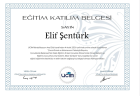 Psk. Elif Şentürk Psikoloji sertifikası