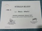 Psk. Begüm Görgülü Psikoloji sertifikası