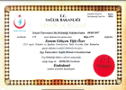 Prof. Dr. Dt. Senem Gökçen Yiğit Özer Diş Hekimi sertifikası