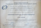 Doç. Dr. Psk. Dan Ümit Sahranç Psikolojik Danışman sertifikası
