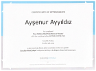 Uzm. Psk. Ayşenur Ayyıldız Psikoloji sertifikası