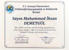 Psk. Muhammed İhsan Demetgül Psikoloji sertifikası